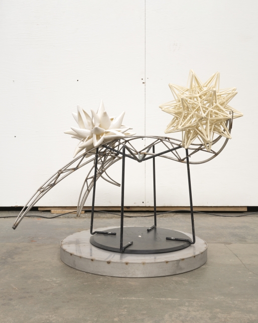 FRANK STELLA (B. 1936)

Truss with 2 Stars

2021

RPT with stainless steel

27 x 38 x 30 1/2 inches

68.6 x 96.5 x 77.5cm